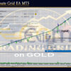Gold 1 Minute Grid EA MT5 Backtest