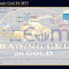 Gold 1 Minute Grid EA MT5 Live Result