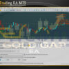 Gold Gap Trading EA MT5 Setting