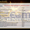 Gold Neuron EA MT5 Input