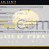 Gold Piece XAU EA MT5 Setting