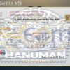 Hanuman Gold EA MT4 Backtest