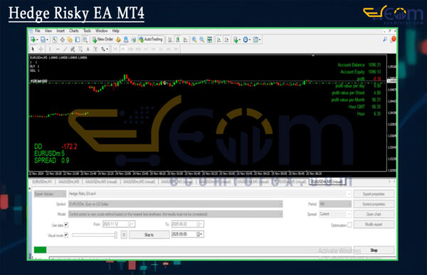 Hedge Risky EA MT4 Backtests