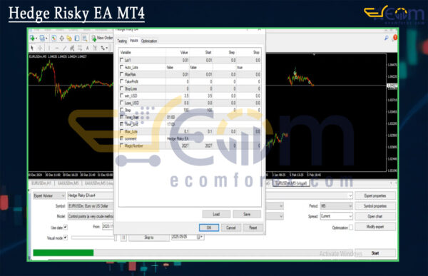 Hedge Risky EA MT4 Input