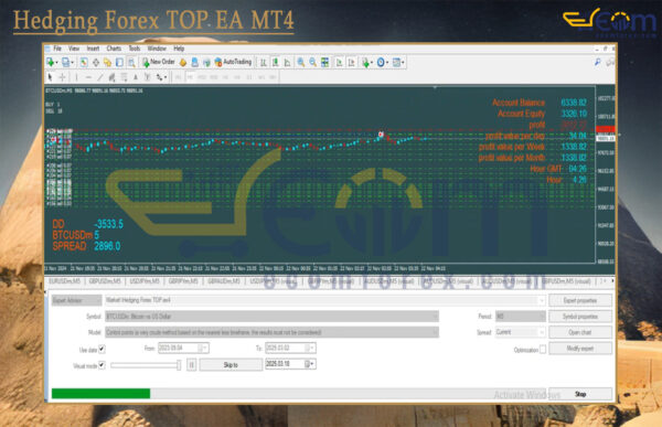 Hedging Forex TOP EA MT4 Backtest
