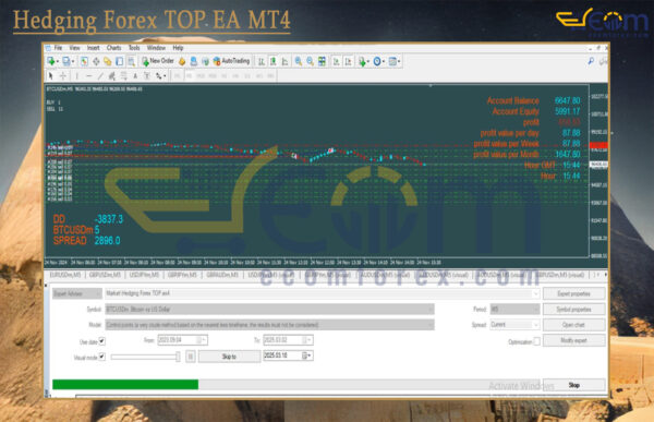 Hedging Forex TOP EA MT4 Backtests