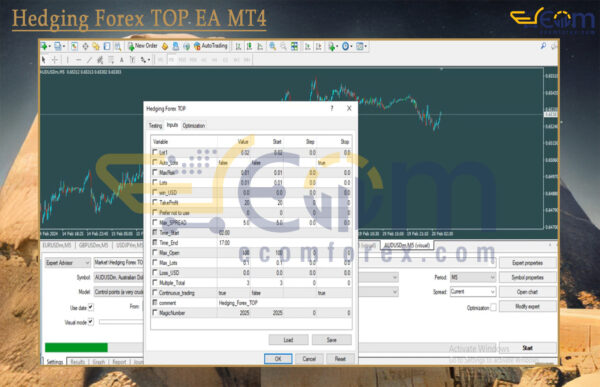 Hedging Forex TOP EA MT4 Input