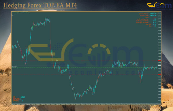Hedging Forex TOP EA MT4 Review