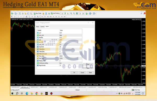 Hedging Gold EA1 MT4 Input