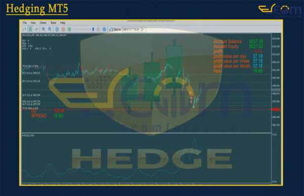 Hedging MT5 Backtest