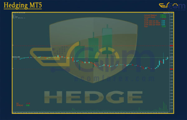 Hedging MT5 Review