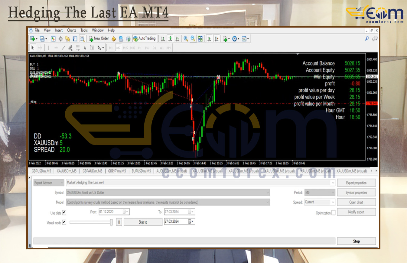 Hedging The Last EA MT4 Backtest