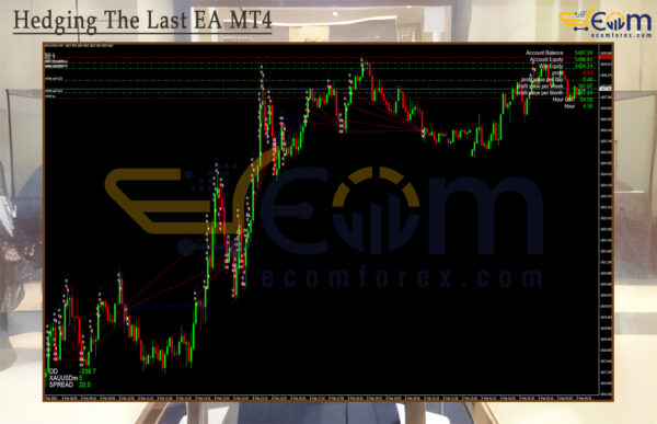 Hedging The Last EA MT4 Review