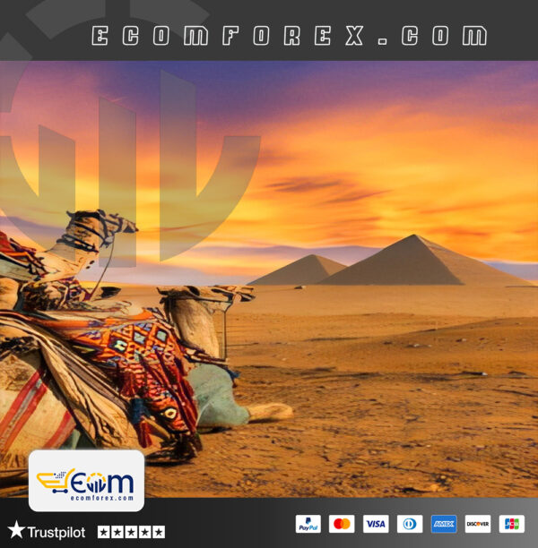 Ichimoku ZigZag EA MT4 Logo