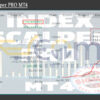 Index Scalper PRO MT4 Live Result MyfxBook
