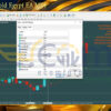 King Of Gold Egypt EA MT4 Input