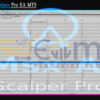 Msx AI Scalper Pro EA MT5 Input