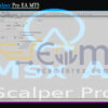 Msx AI Scalper Pro EA MT5 Setting