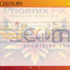 Phoenix FX XAU EA MT4 Backtest