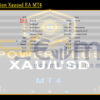 Power Fusion Xauusd EA MT4 Backtest