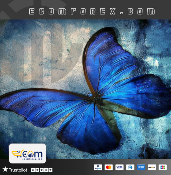 PureDailyEA MT4 Logo