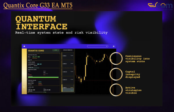 Quantix Core G33 EA MT5 Review