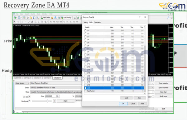 Recovery Zone EA Input