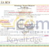 RoyalEdge EA MT4 Backtest