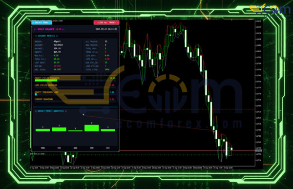 Scalp Balance EA MT5 Review