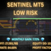 Sentinel MT5 Backtests