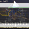 Shapire Effect EA MT5 Backtest
