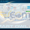 Smart Owl FX EA MT5 Live Signal