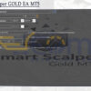 Smart Scalper GOLD EA MT5 Setting