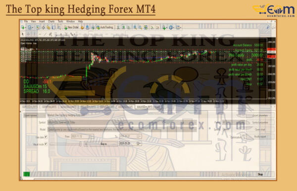 The Top king Hedging Forex MT4 Backtest
