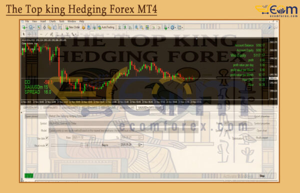 The Top king Hedging Forex MT4 Backtests