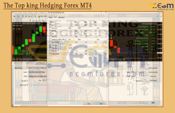 The Top king Hedging Forex MT4 Input