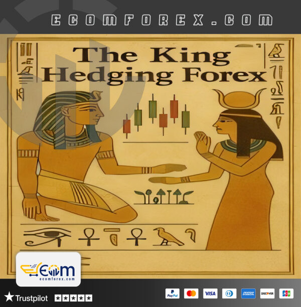 The king Hedging Forex 2R EA MT4 Logo