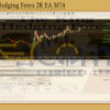 The king Hedging Forex 2R EA MT4 Reviews