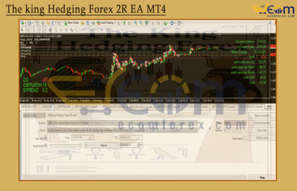 The king Hedging Forex 2R EA MT4 Reviews
