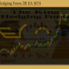 The king Hedging Forex 2R EA Review