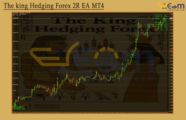 The king Hedging Forex 2R EA Review