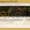 The king Hedging Forex 2R EA Reviews