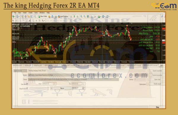 The king Hedging Forex 2R EA Reviews