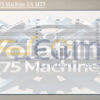 Volatility 75 Machine EA MT5 Review