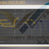 Volumen Scalper GOLD EA MT5 Review