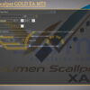 Volumen Scalper GOLD EA MT5 Setting