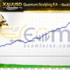 Xauusd Quantum Scalping EA MT5 Backtest