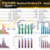 Xauusd Quantum Scalping EA MT5 Backtests
