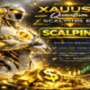 Xauusd Quantum Scalping EA MT5 Review