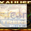 Xauusd Trend Pro EA MT4 Input